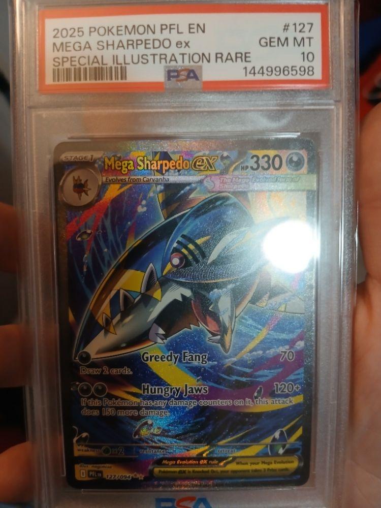 Pokemon mega sharpedo